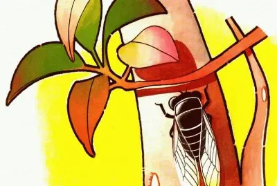 ç ”ç¿’ç”¨