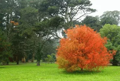 פאזל של En Mar del Plata. Buenos Aires. Argentina
