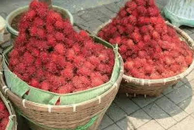 Rambutanes