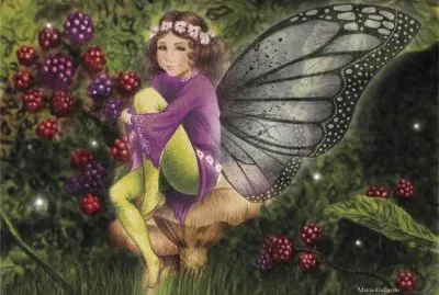 fantasia