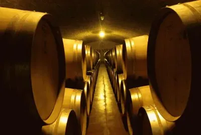 bodega mendocina