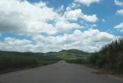 canavial