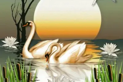 Swans at the Lake jigsaw puzzle