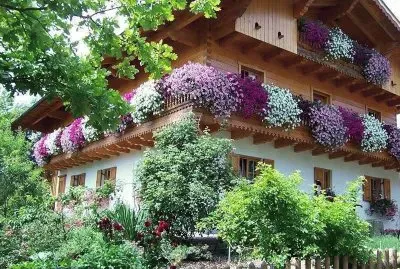 casa florida