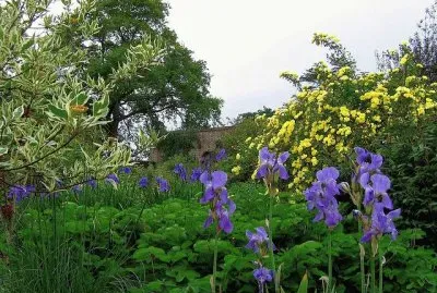 פאזל של jardÃ­n