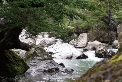 RÃ­o Pichi Traful. NeuquÃ©n. Argentina