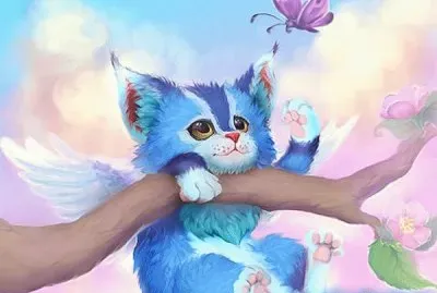fantasia