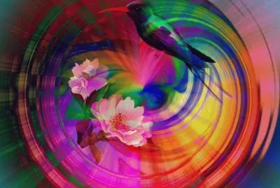 Flower and Hummingbird