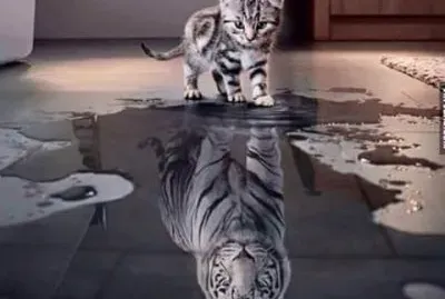 little cat big tiger jigsaw puzzle