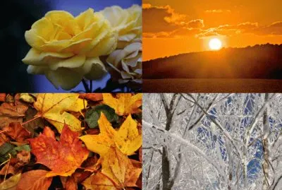 NATUREZA jigsaw puzzle