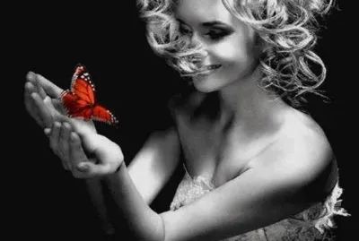 mariposa