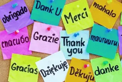 multicolor jigsaw puzzle