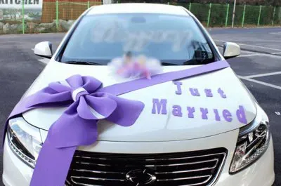 Just Married Car Decorations jigsaw puzzle