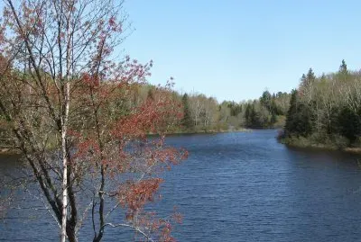 Spring time at the Big Dam