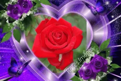 פאזל של imagens