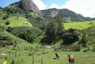 imagens