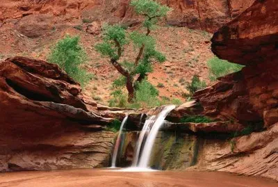 Cascada