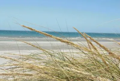 En Puerto Madryn. Chubut. Argentina