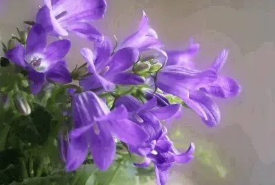 פאזל של imagens