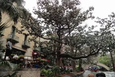 פאזל של San Antonio River Walk (4)