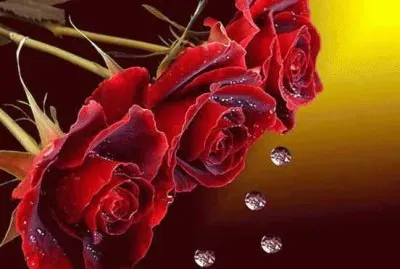 imagens jigsaw puzzle