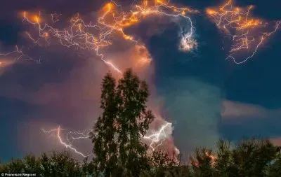 imagens jigsaw puzzle