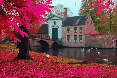 222 Brujas, BÃ©lgica