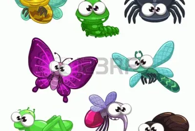 insectos