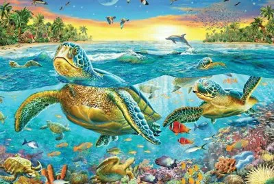 tartarugas jigsaw puzzle
