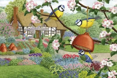 pÃ¡ssaro jigsaw puzzle