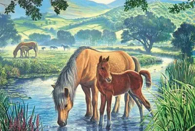 cavalos jigsaw puzzle
