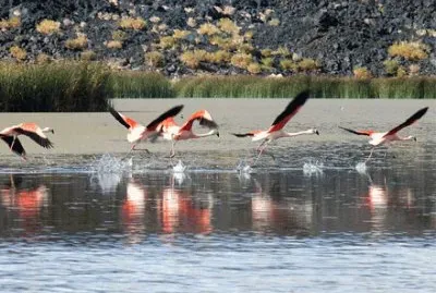Laguna Diamante. Catamarca. Argentina