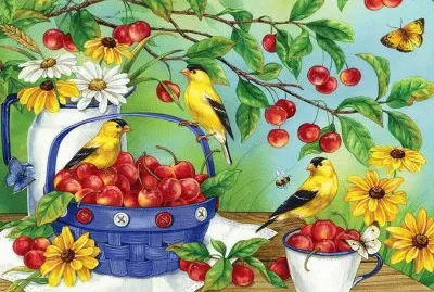 Birds n cherries