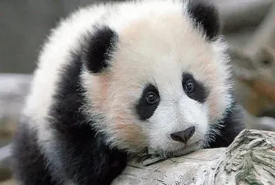 june10 jigsaw puzzle