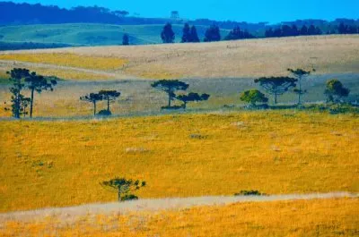 imagens jigsaw puzzle