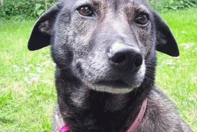 Kwinana jigsaw puzzle