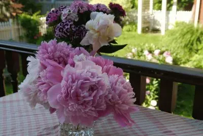 Pretty Fresh Cut Flowers