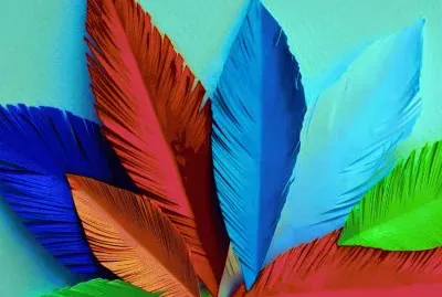 multicolor jigsaw puzzle