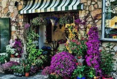 פאזל של varios