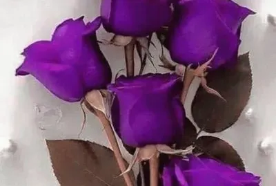 rosas7 jigsaw puzzle