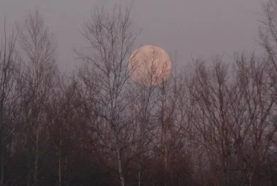 Full moon rising