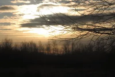 Frosty sunrise