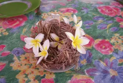 fleurs de la RÃ©union