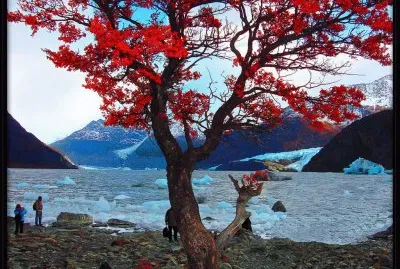 Lago Alto. Tierra del Fuego. Argentina