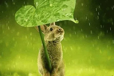 imagens jigsaw puzzle