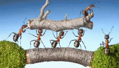 unidad jigsaw puzzle