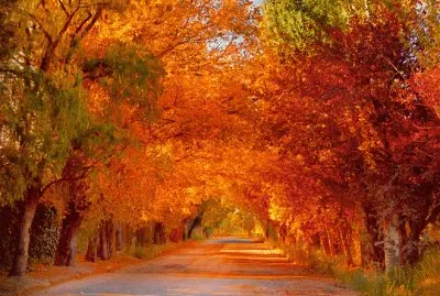 פאזל של OtoÃ±o en Mendoza. Argentina