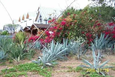 פאזל של La RÃ©union