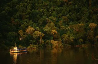 פאזל של Forrest, Misiones