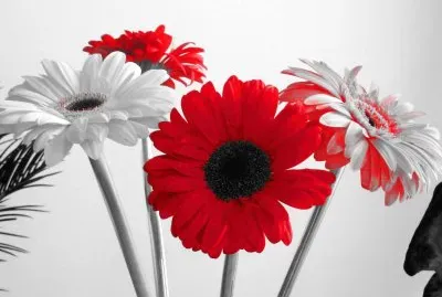 multicolor jigsaw puzzle